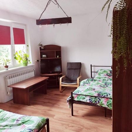 Gromadzyniowka-Pod Czarnym Kogutem Appartement Ustrzyki Dolne Buitenkant foto
