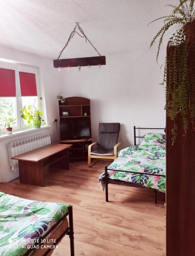 Gromadzyniowka-Pod Czarnym Kogutem Appartement Ustrzyki Dolne Buitenkant foto