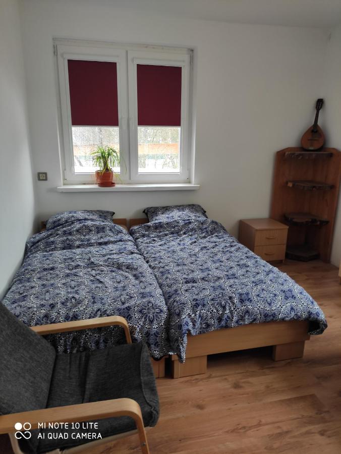 Gromadzyniowka-Pod Czarnym Kogutem Appartement Ustrzyki Dolne Buitenkant foto