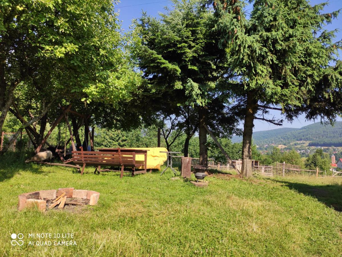 Gromadzyniowka-Pod Czarnym Kogutem Appartement Ustrzyki Dolne Buitenkant foto