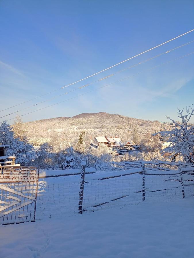 Gromadzyniowka-Pod Czarnym Kogutem Appartement Ustrzyki Dolne Buitenkant foto
